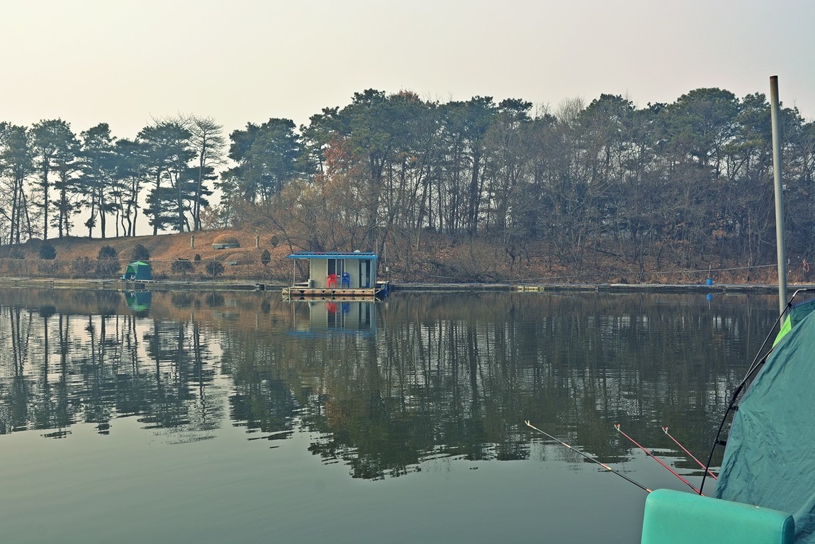 54.JPG
