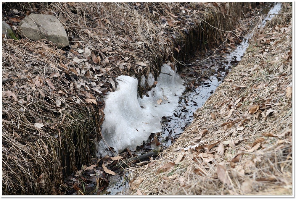 IMG_6545(������ ������).JPG