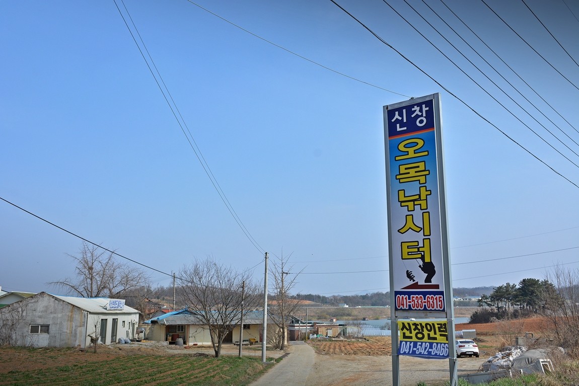 1.JPG