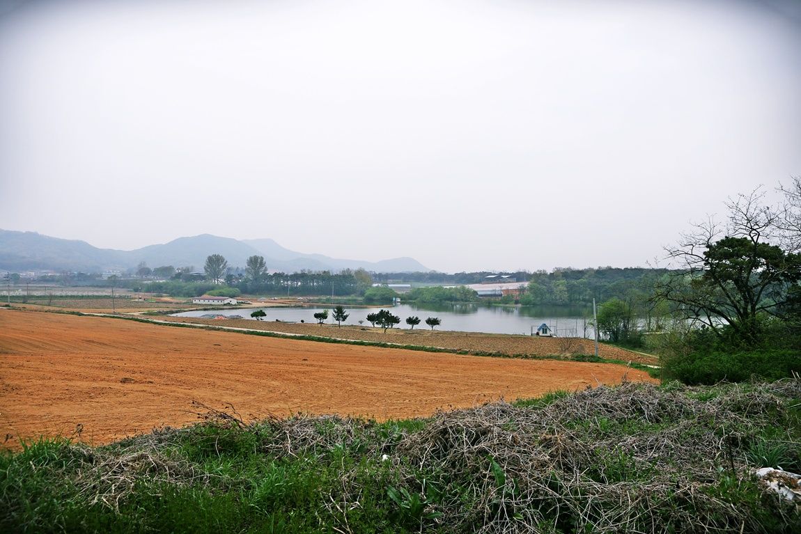 3A6A0572.JPG