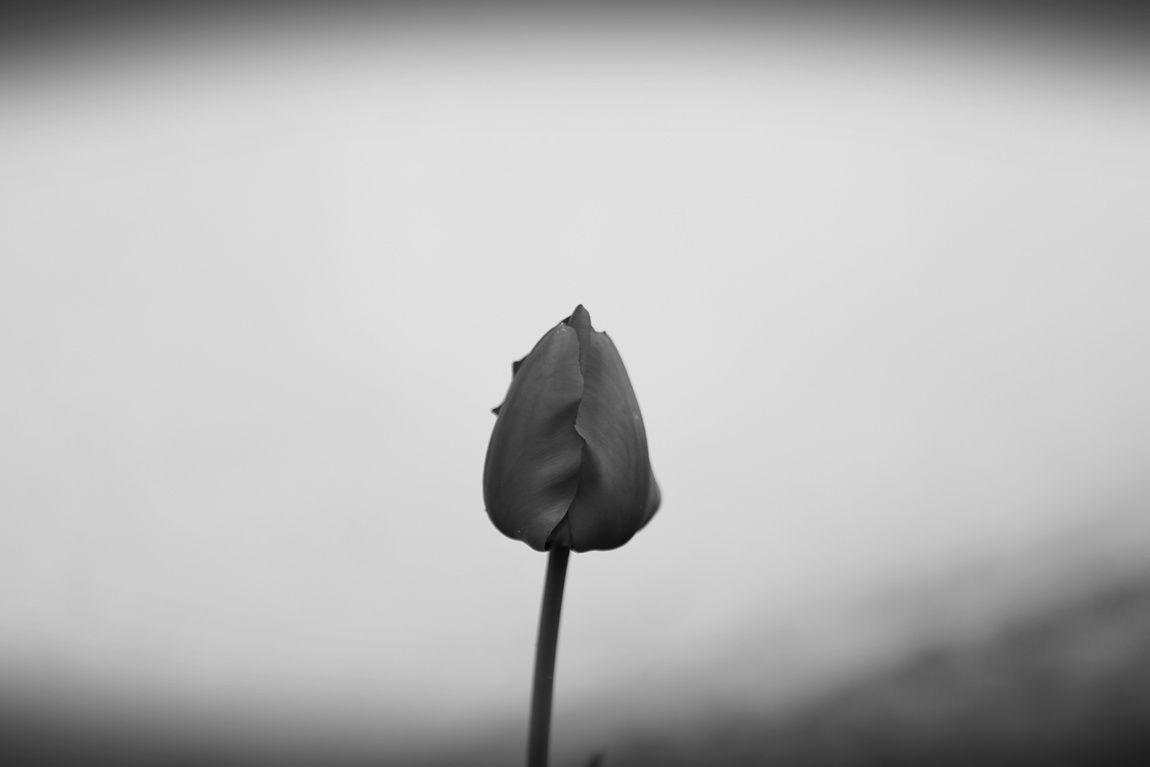 3A6A0569.JPG