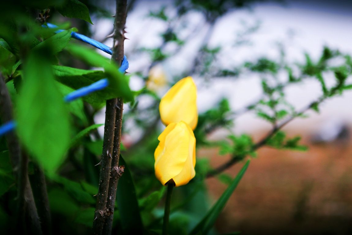 3A6A0568.JPG