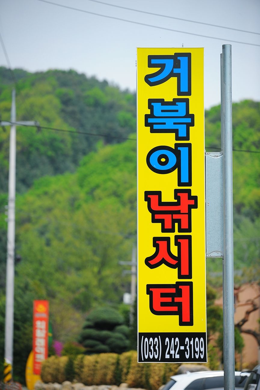 낚시사랑 > 의암호 거북이낚시터 : 낚시사랑