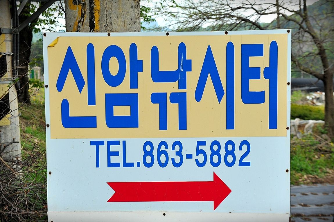 1.JPG