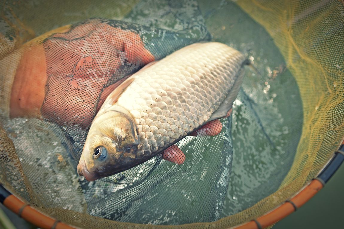 30.JPG