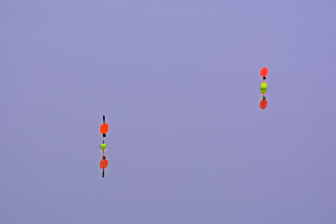 16.JPG