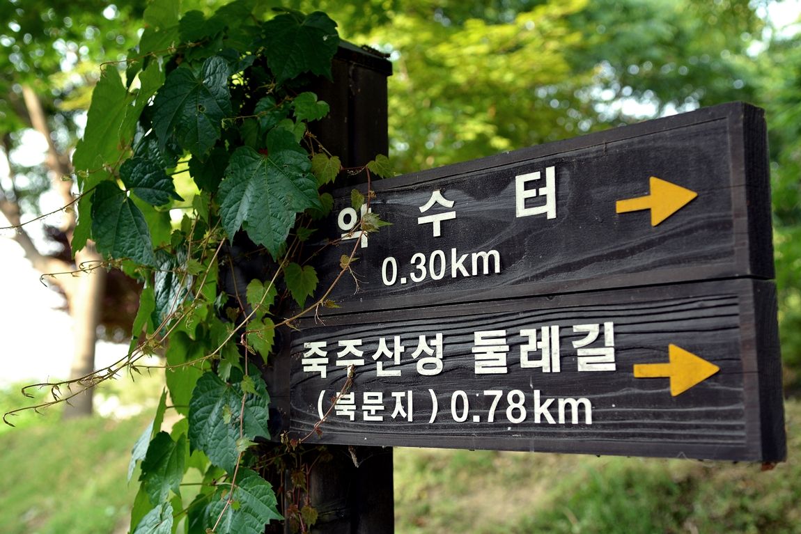 6.JPG