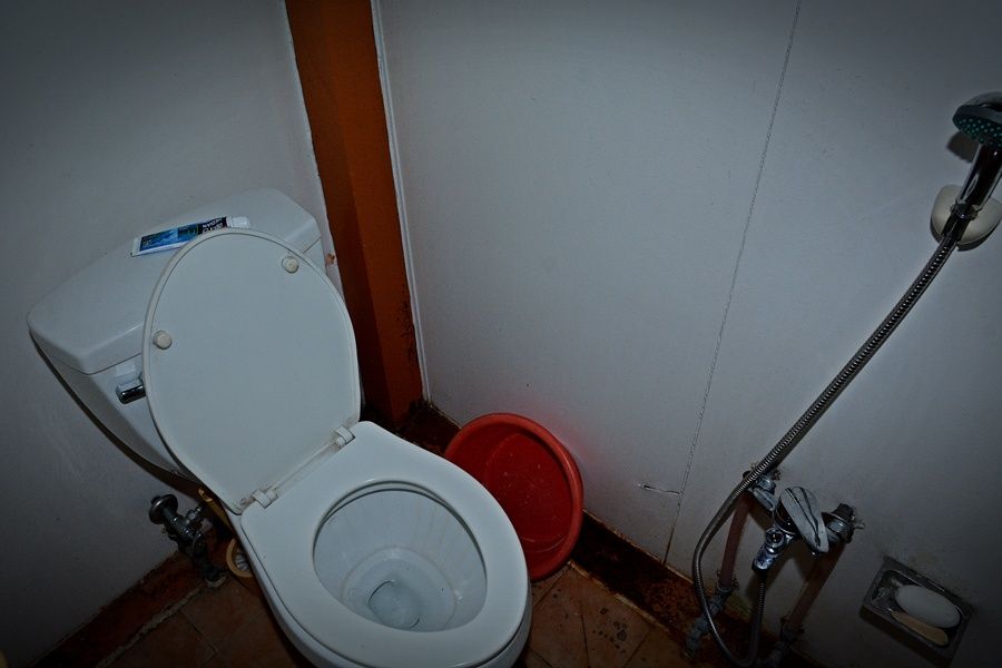 25.JPG