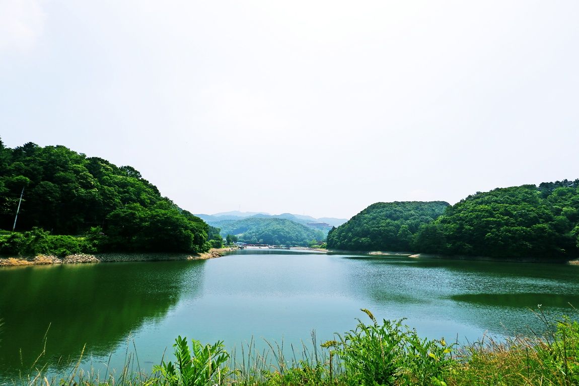 3A6A3498.JPG