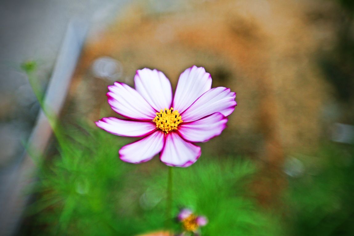 3A6A3626.JPG