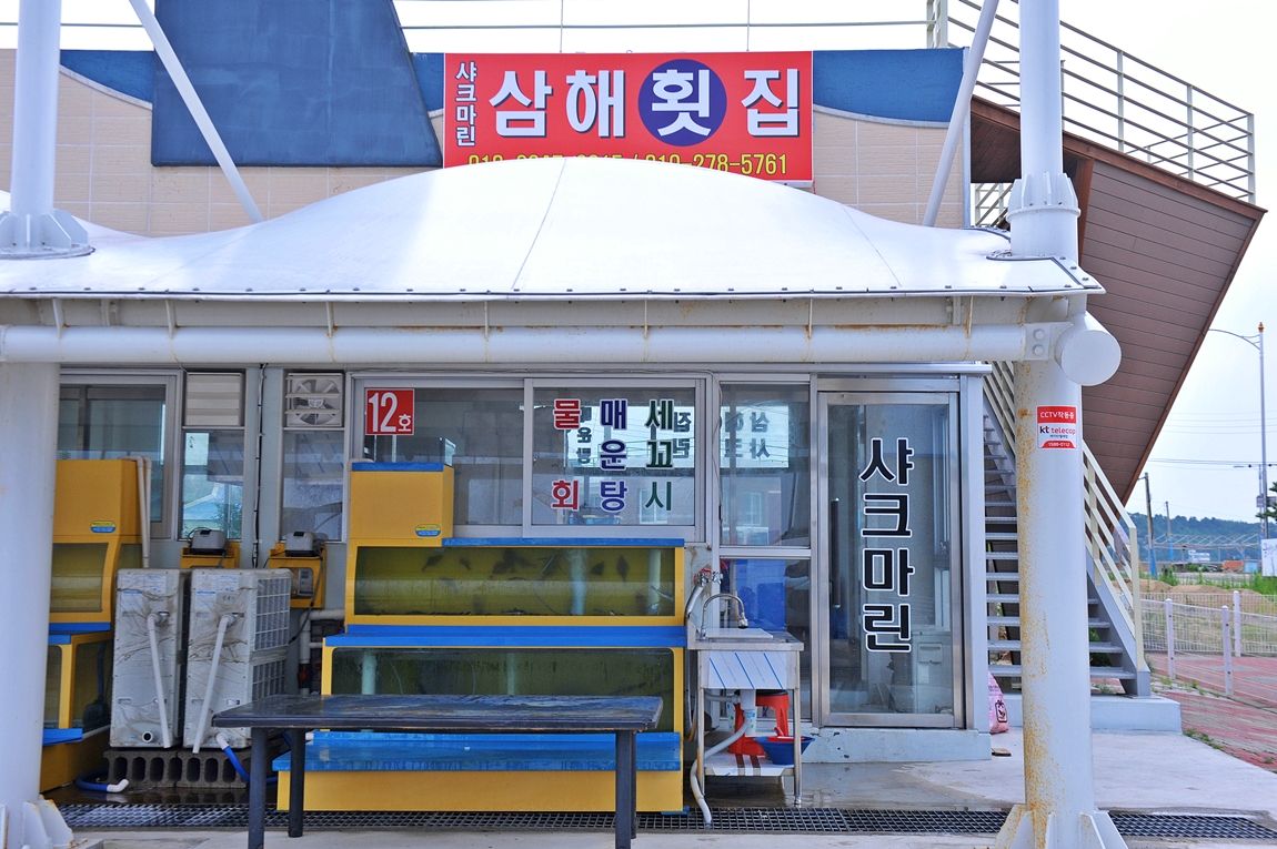 강호지락 > 공현진항 샤크마린호(구 삼해호) : 낚시사랑