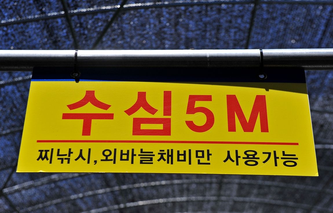 11.JPG