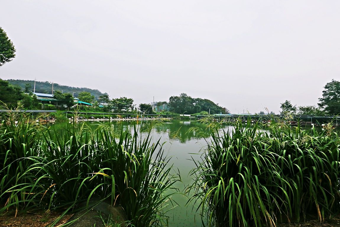 3A6A5113.JPG