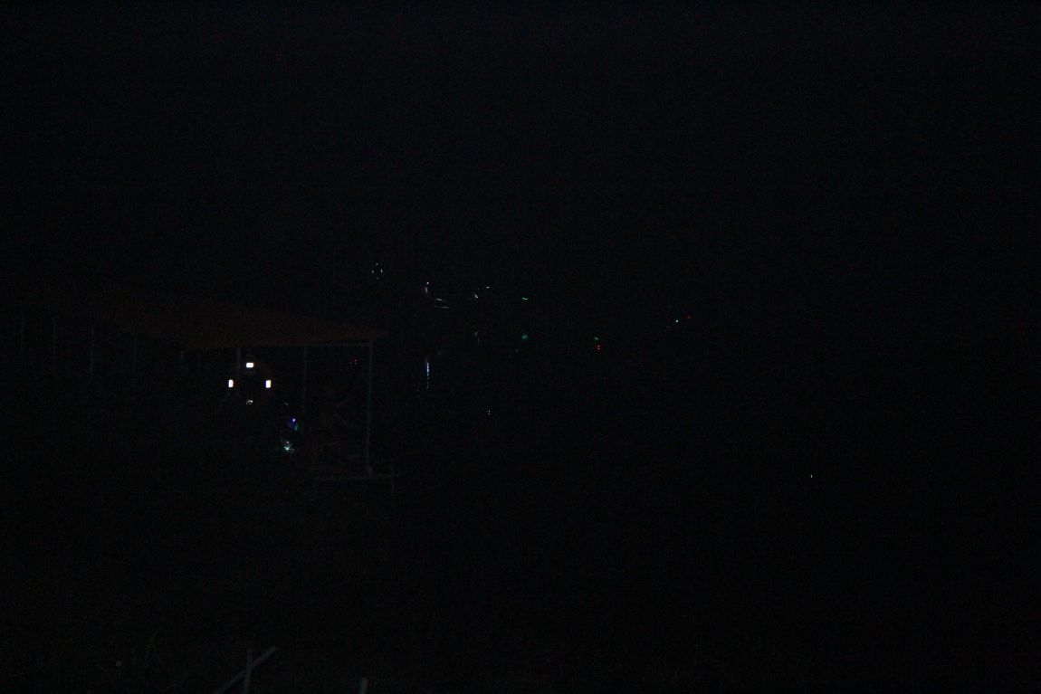 003.JPG