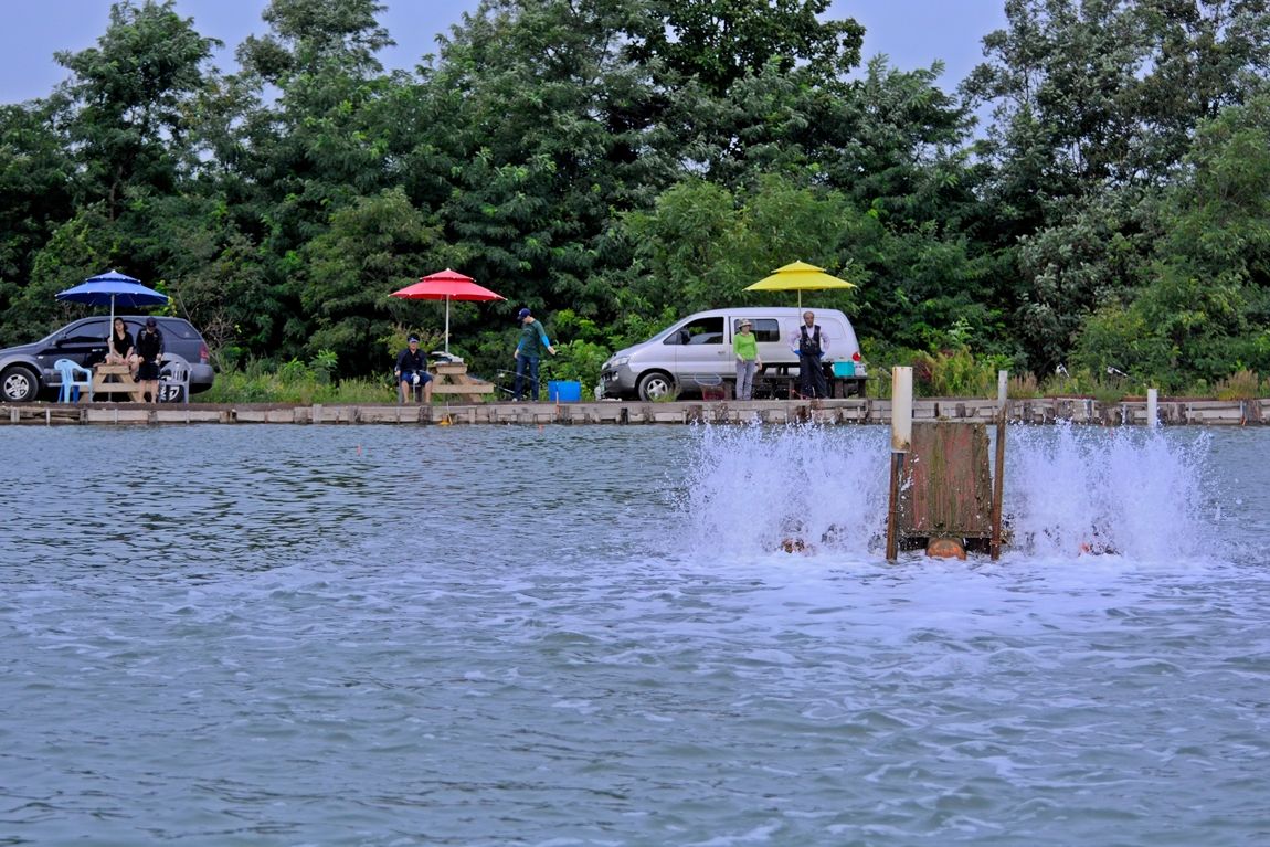 115.JPG