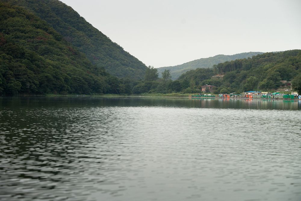 DSC09599.jpg