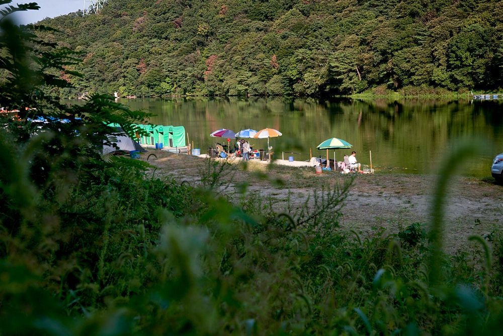 DSC08945-3.jpg