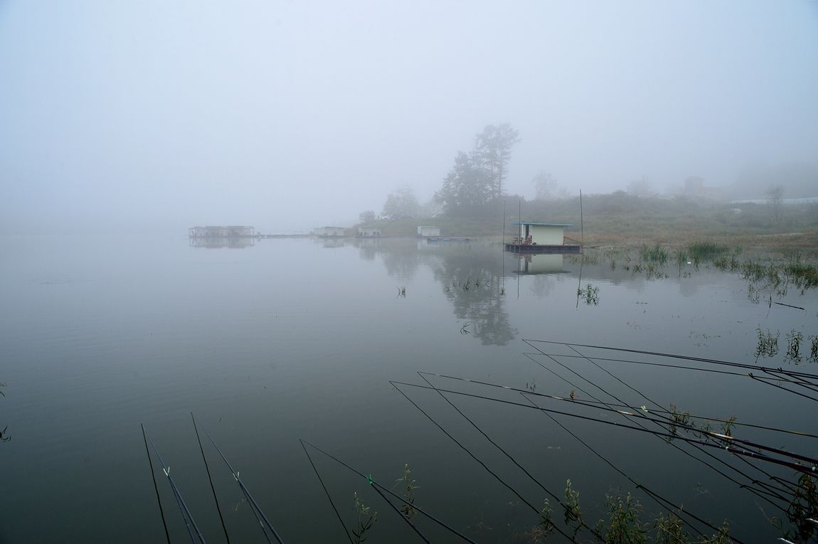 66.jpg