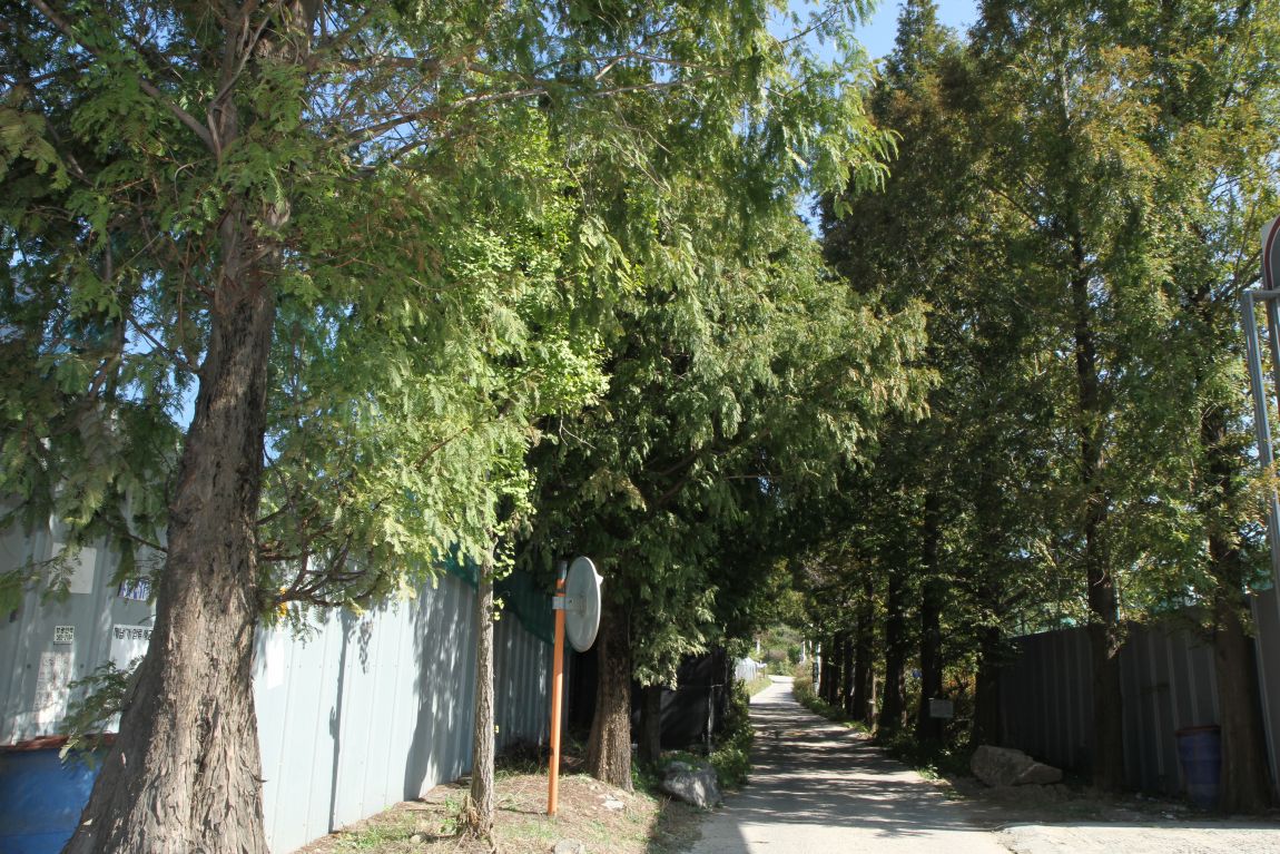 129.JPG