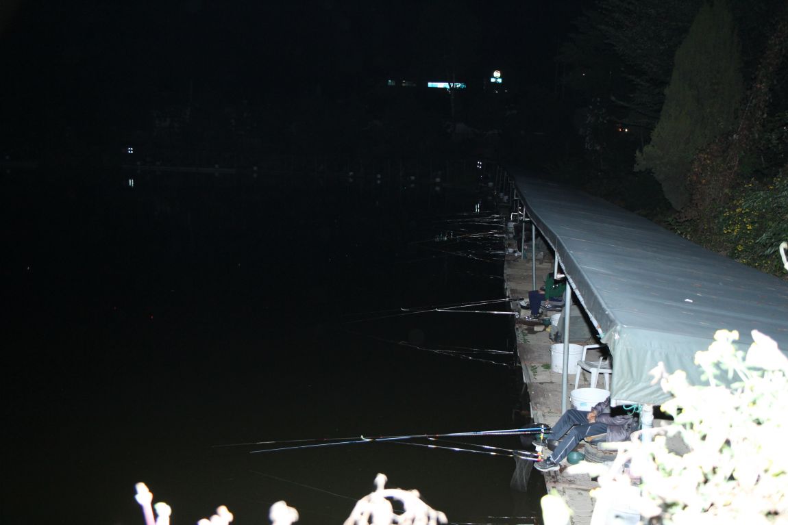 236.JPG