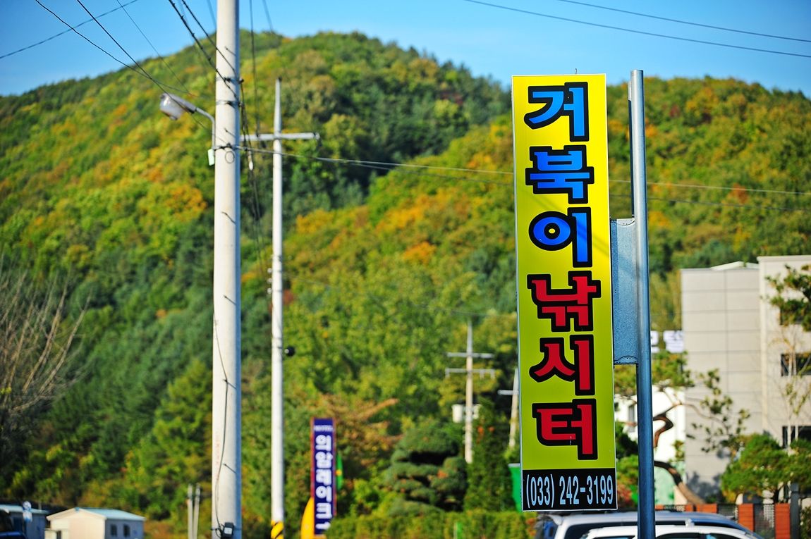 낚시사랑 > 의암호 거북이낚시터 : 낚시사랑
