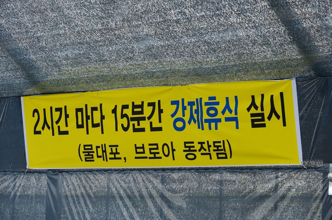 18.JPG