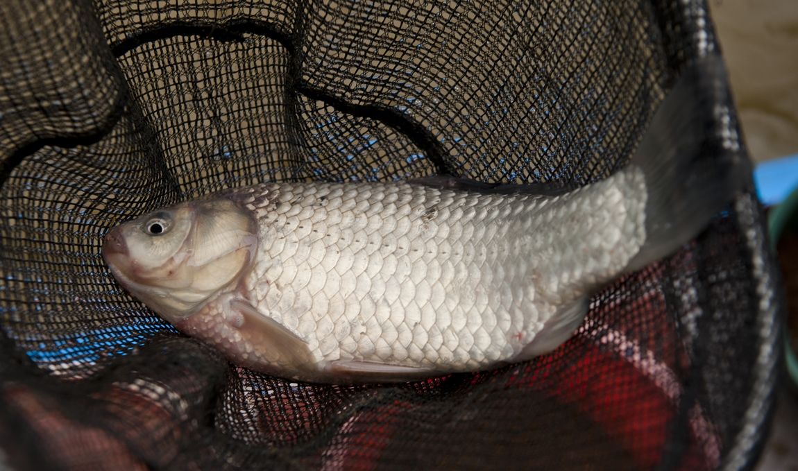 34.JPG