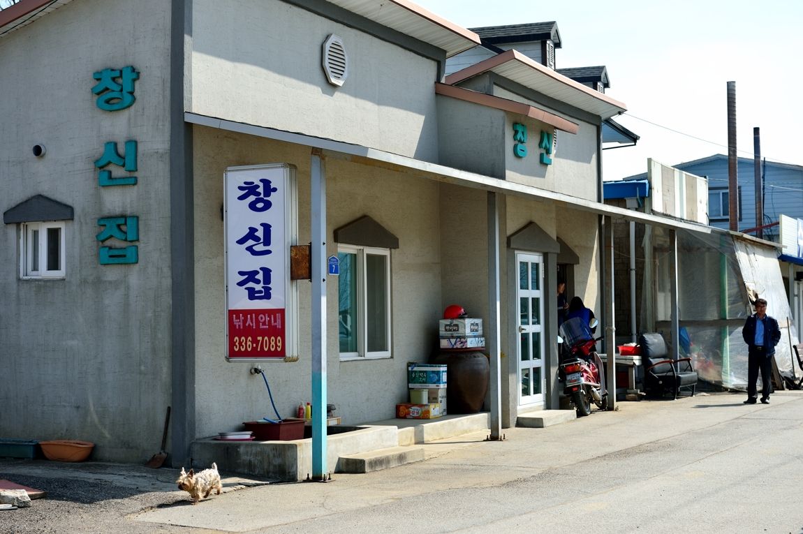기파랑 > 용인 송전지 창신집 - 새봄 새단장...... : 낚시사랑