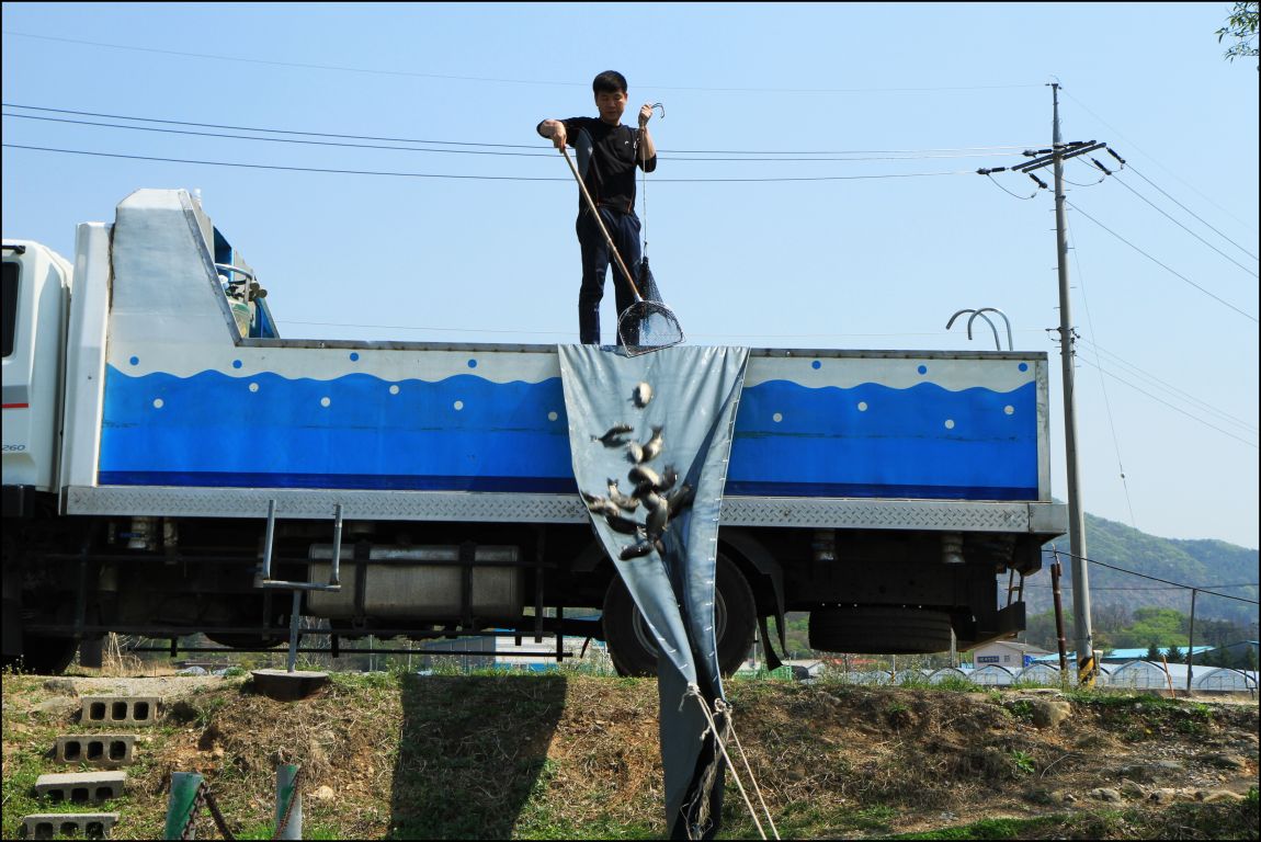 086.JPG