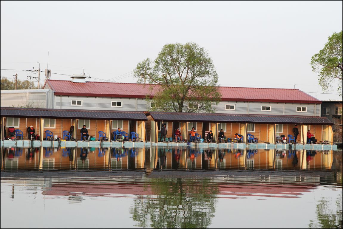 142.JPG