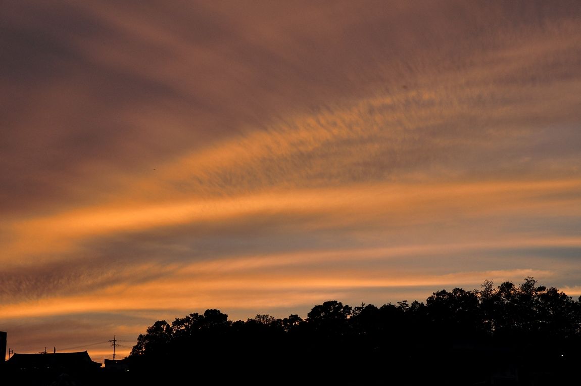 DSC_0042.JPG