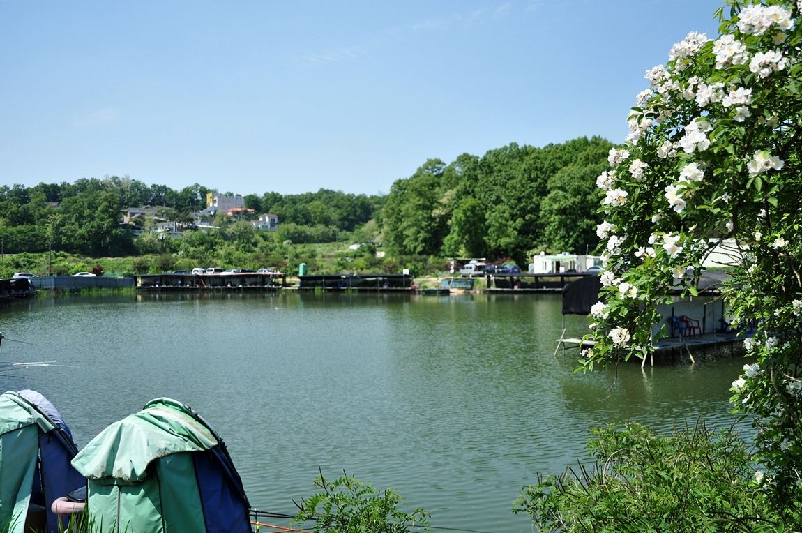 DSC_0185.JPG