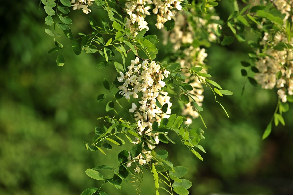 8.JPG