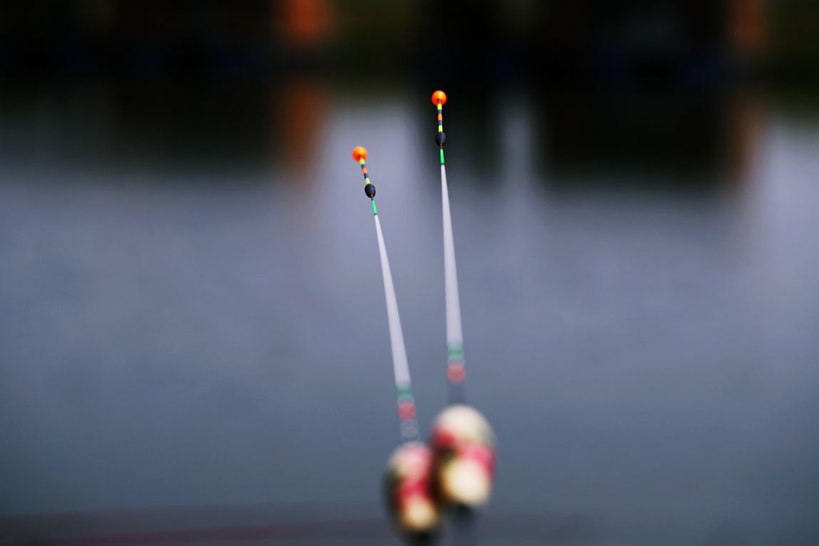 3A6A7156.JPG