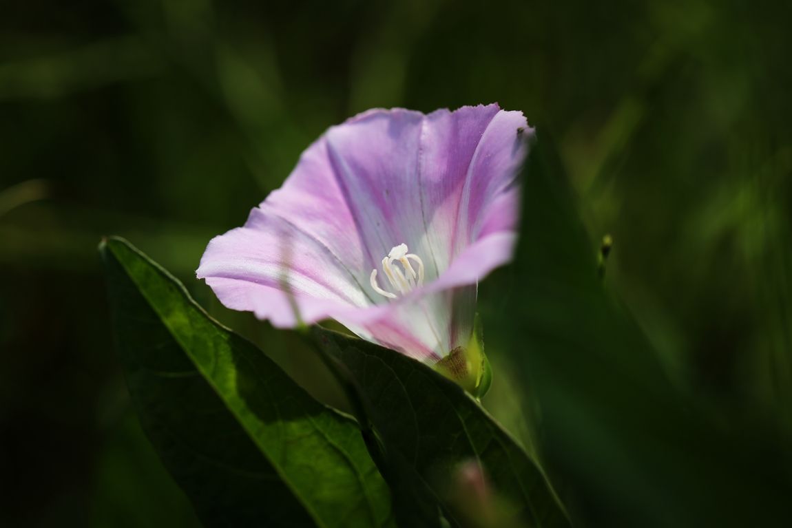 3A6A7216.JPG