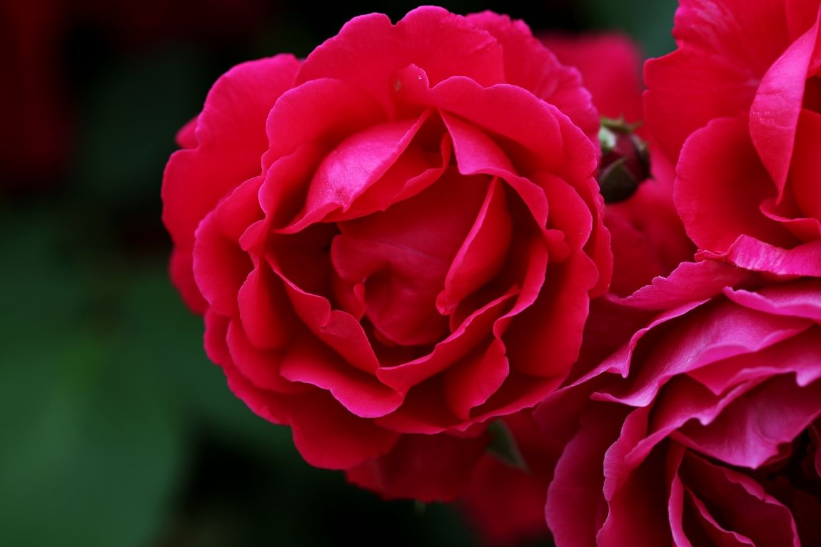3A6A7528.JPG