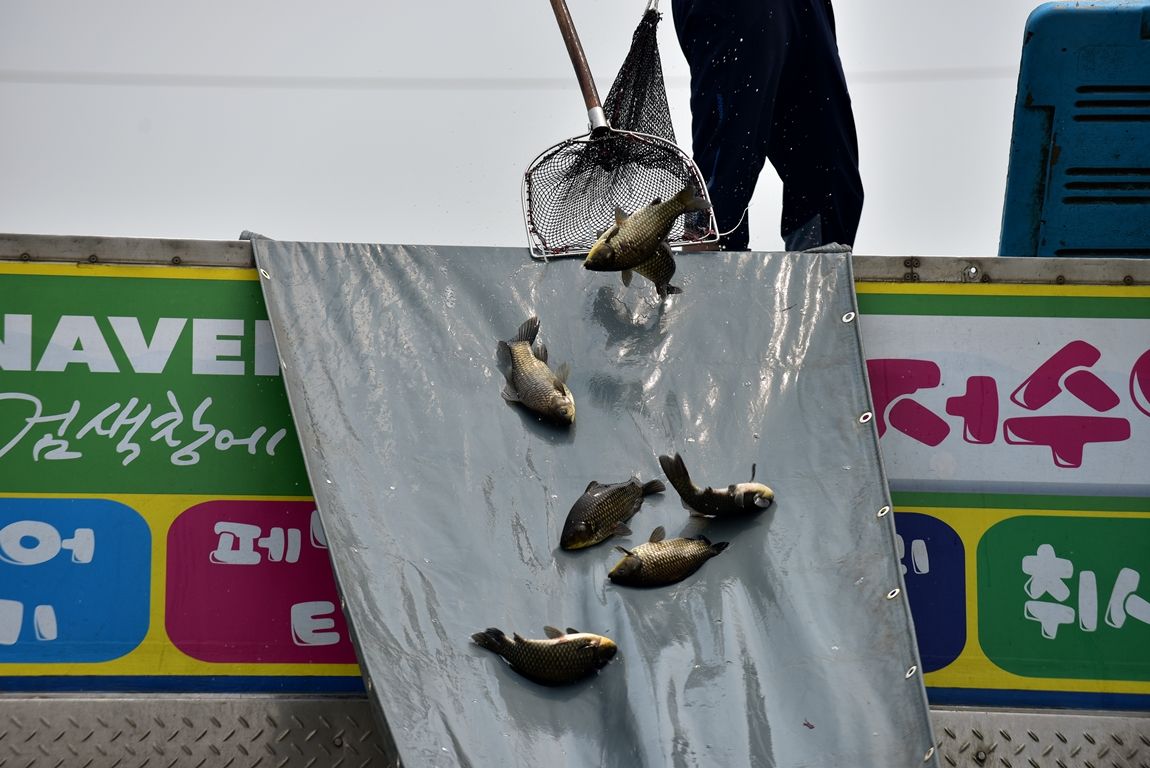 DSC_6636.JPG