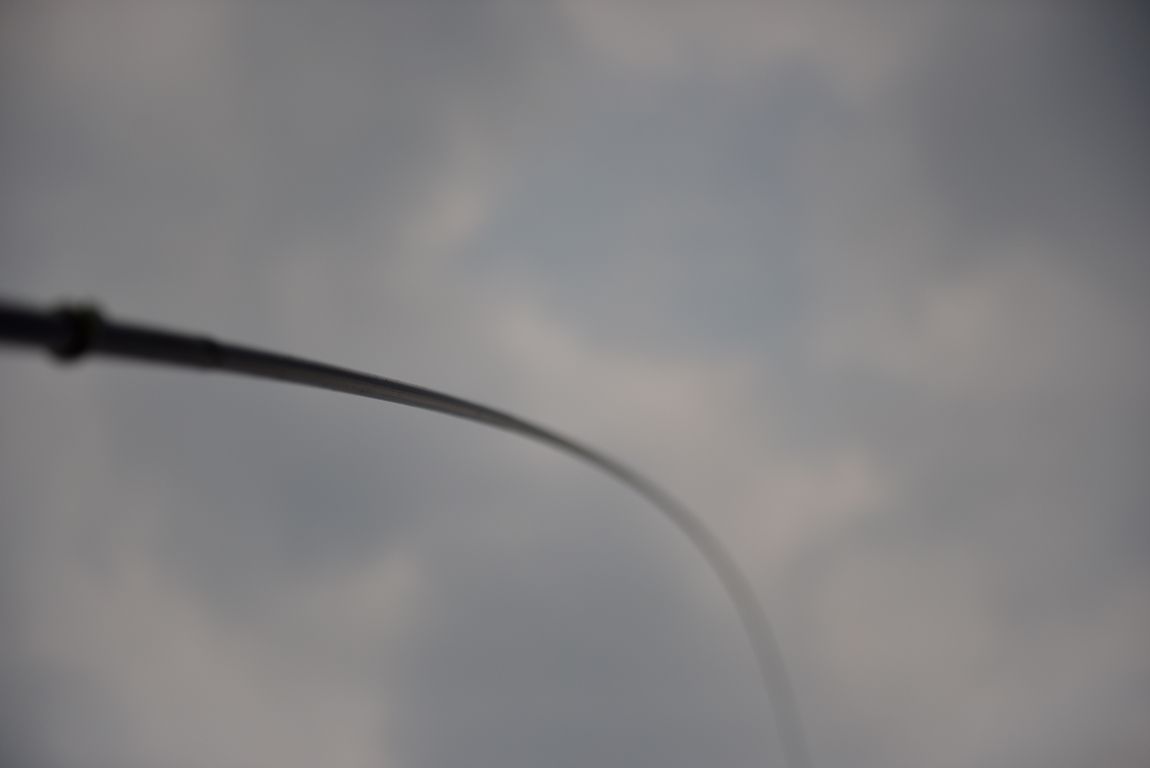 DSC_6679.JPG