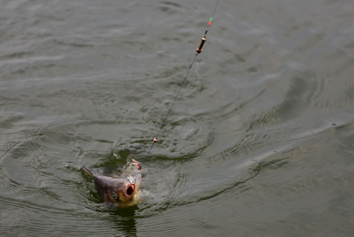 DSC_6680.JPG