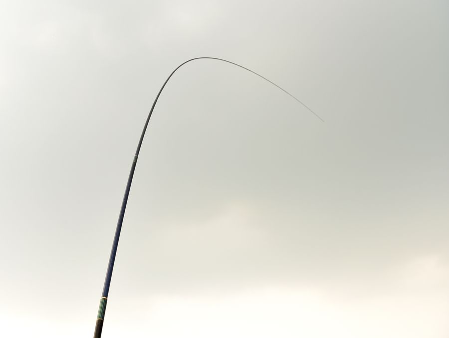 DSC_6704.JPG