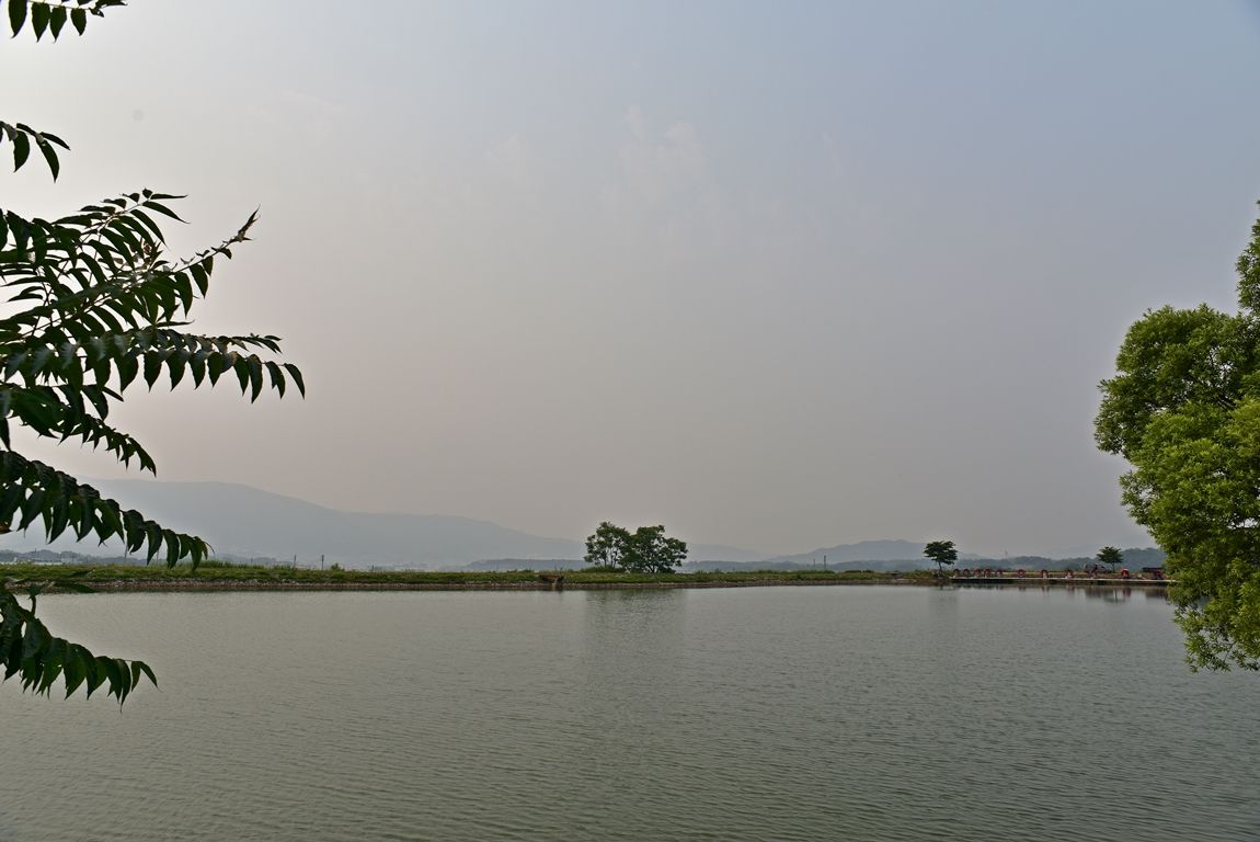 DSC_6727.JPG