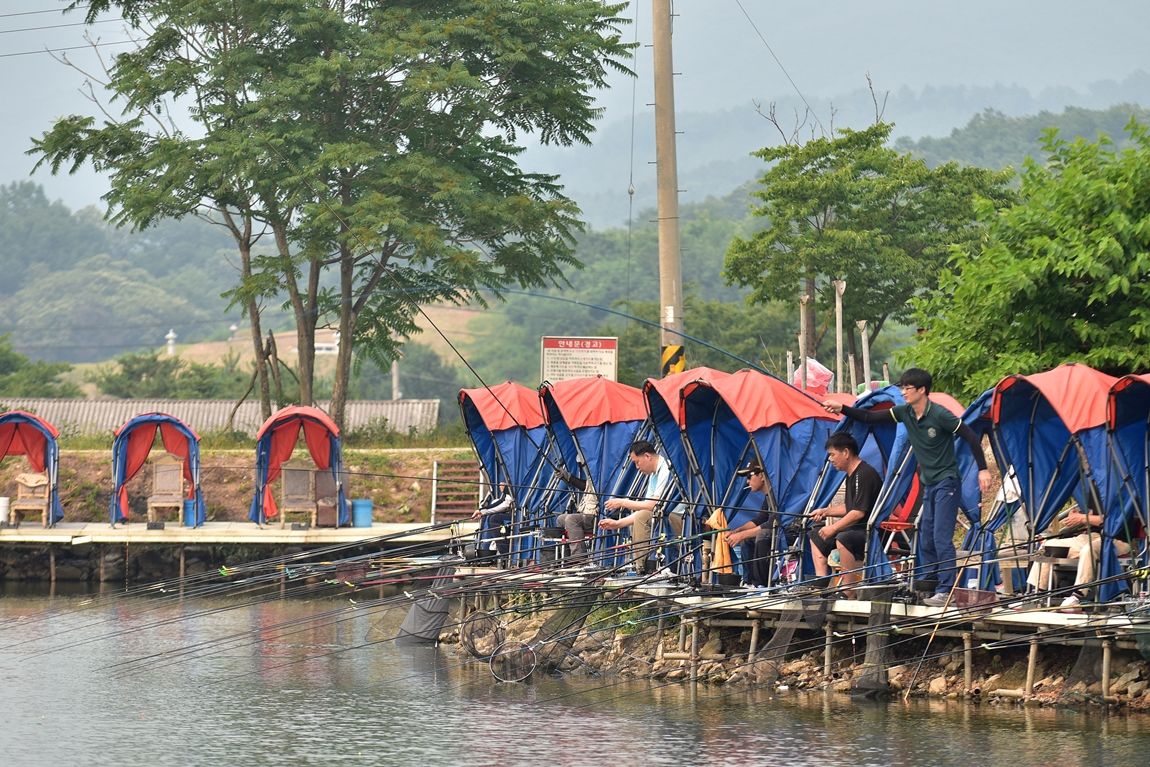 DSC_6730.JPG