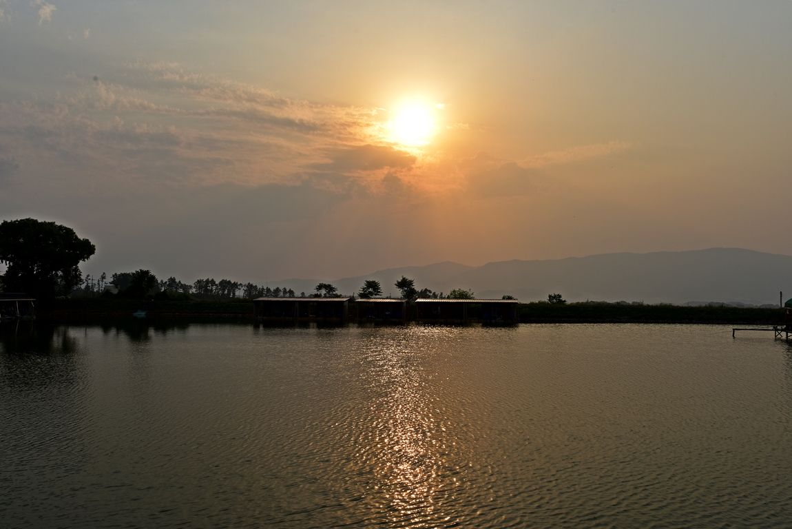 DSC_6755.JPG