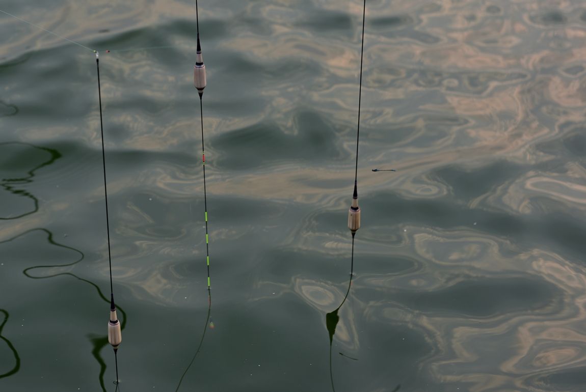 DSC_6762.JPG