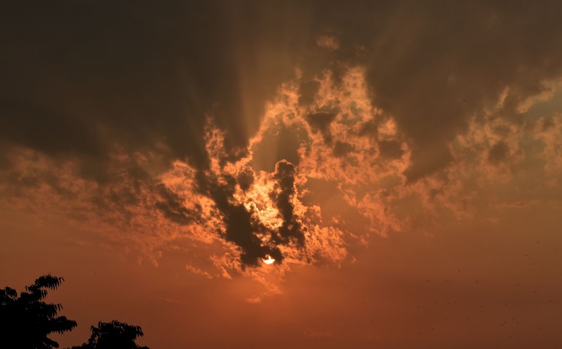 DSC_6826.JPG
