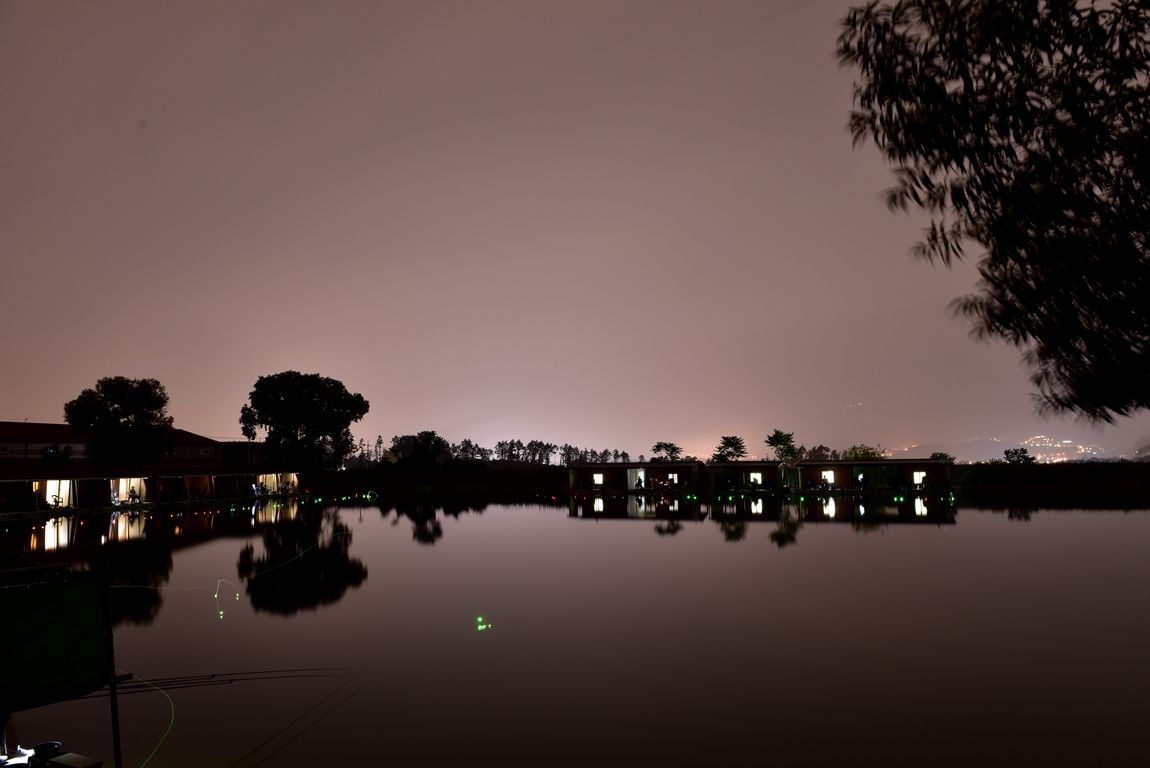 DSC_6854.JPG