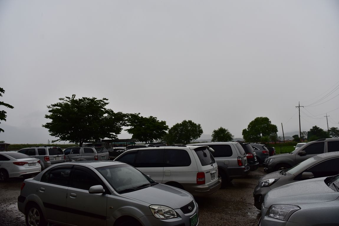 DSC_6876.JPG