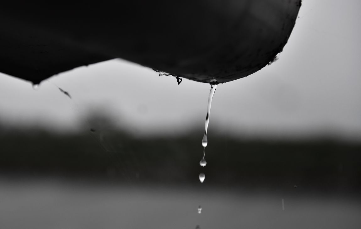 DSC_6880.JPG
