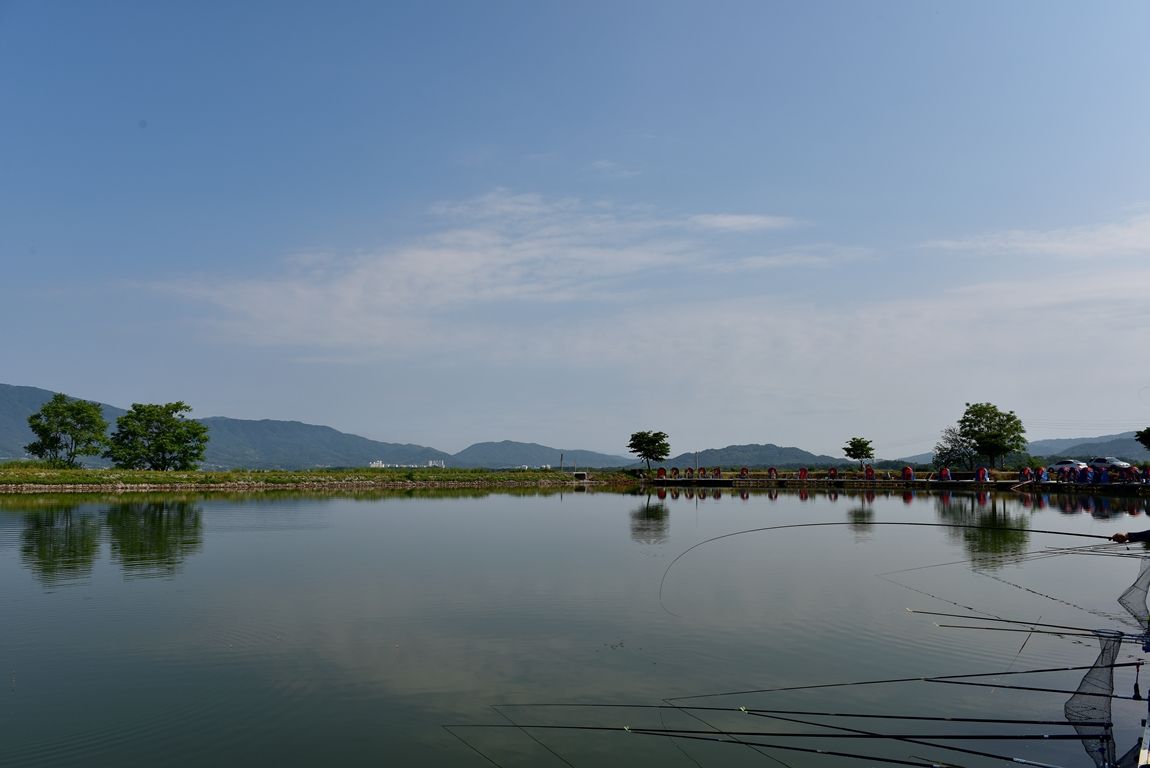 DSC_6932.JPG