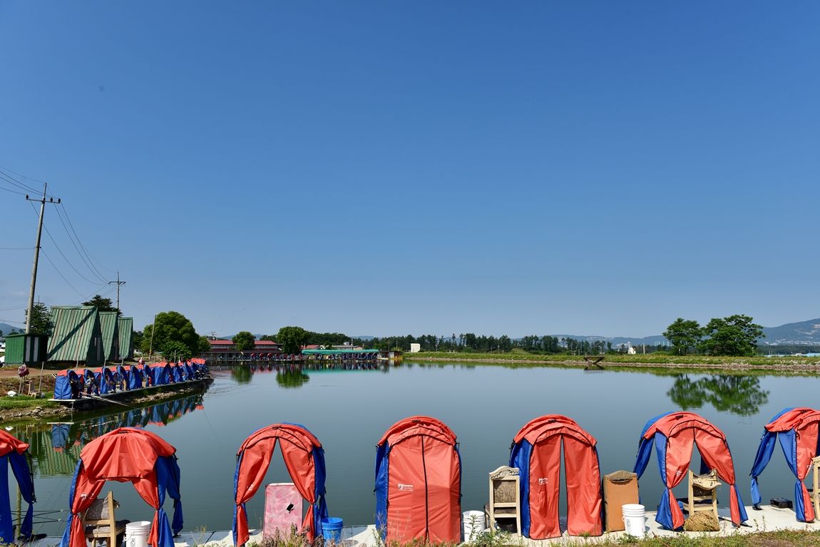 DSC_6950.JPG